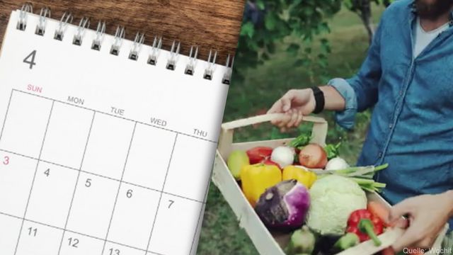 Saisonkalender: Dieses Gemüse wird im April geerntet
